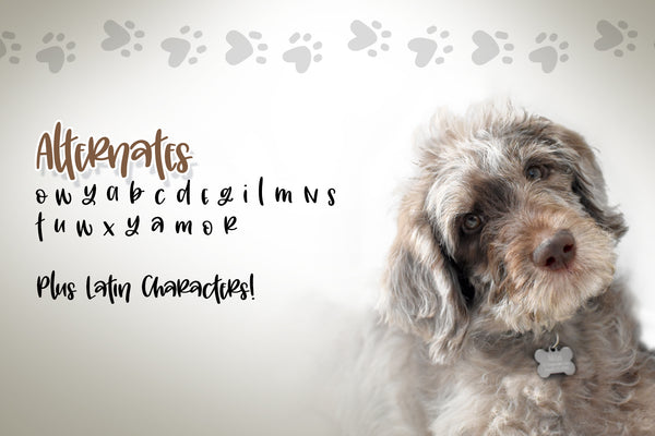 Mitzi Doodle Font