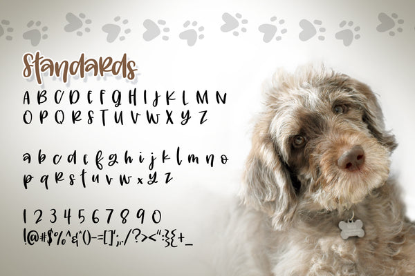 Mitzi Doodle Font