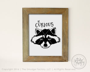Be Curious Raccoon SVG & Printable